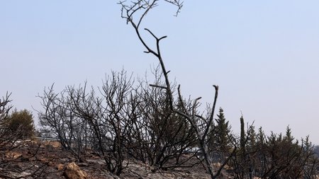 DOC.20250724.8800341.01FOTIA04