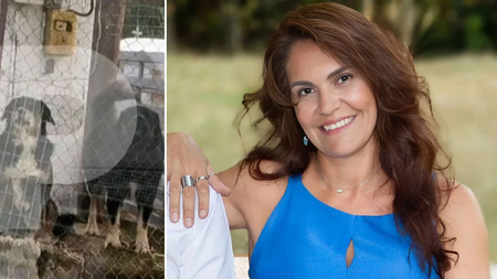 thessaloniki-skylia-arthrou