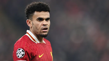 01jk73qbmkxnmeswcef6