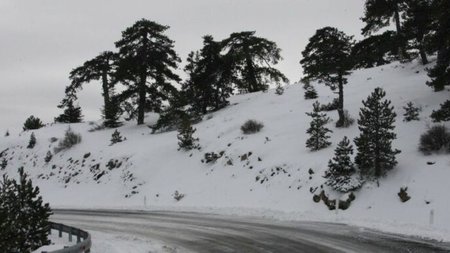 xionia-kypros-768x384