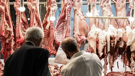 d7e4a5a2a3cad85ad8b37abcaecbbf19_XL