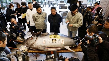 2025-01-05T000059Z_850128419_RC2B3CAQBM1T_RTRMADP_5_NEW-YEAR-JAPAN-TUNA-AUCTION-1200x789