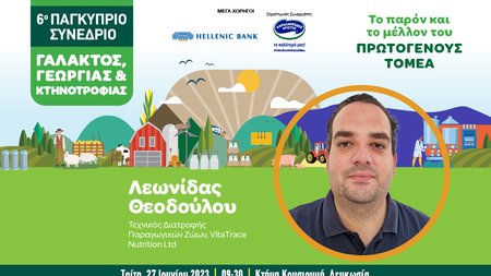 INB BANNER GALAKTOS Leonidas