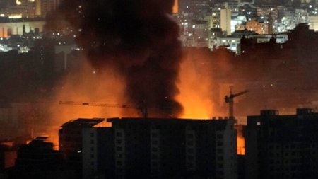 AP24306087605690-768x512