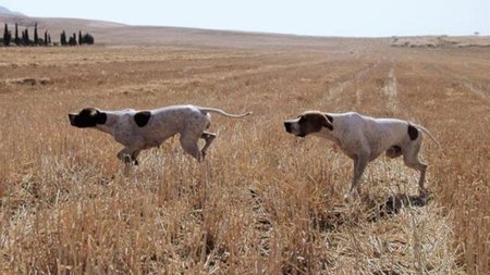 4a67c5a00f714e149f15ffa6a04e8f60-408c25a7