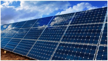 Collage Maker-04-May-2023-11-24-AM-3968