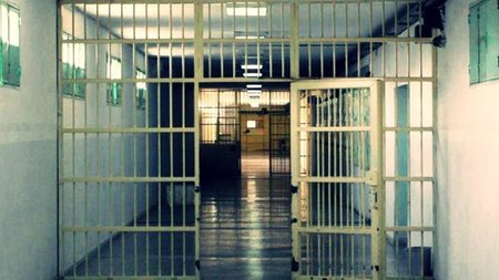 PHYLAKES_2.width-750