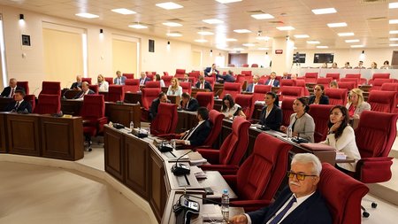 ψευδοβουλη