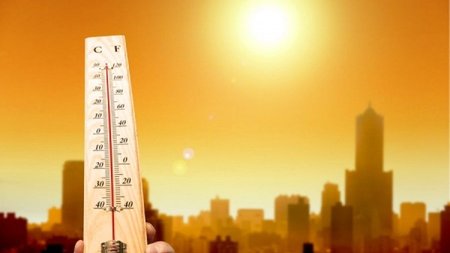 374b637de03a0eeca981ae4de820d898_XL