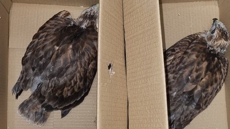 350119598_1259388294681790_2639965506071908486_n