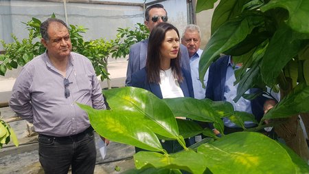 panayiotouprotogenis