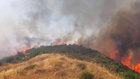 d17756f8a93e8360e751a794c706bbf7