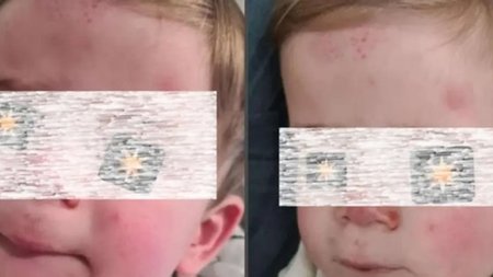 cats_pBBhunQ.width-750