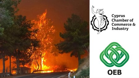 MixCollage-24-Jul-2025-11-19-AM-1100