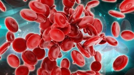 thumb__800_0_0_0_auto