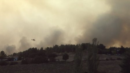 thumbnail_EBROS1-768x432