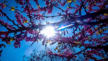 ilios-kairos-696x392