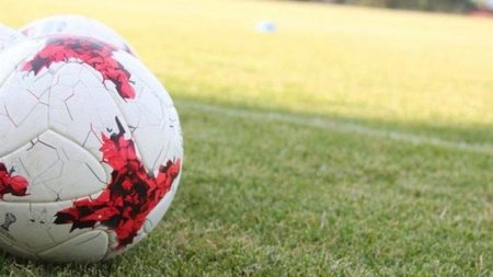 cats_BbWGCfM.2e16d0ba.fill-800x450