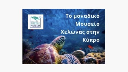 353113207_234158206061361_1979117756303742837_n