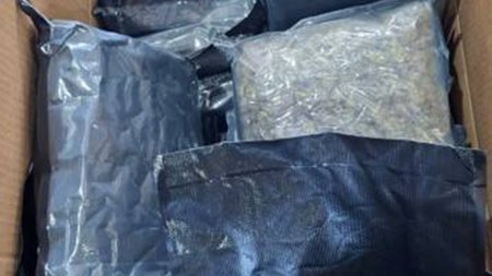 499828883_1123823153118937_3583702486907419955_n