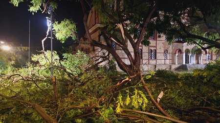 DOC.20241103.7515179.kakokeria-pafo5641