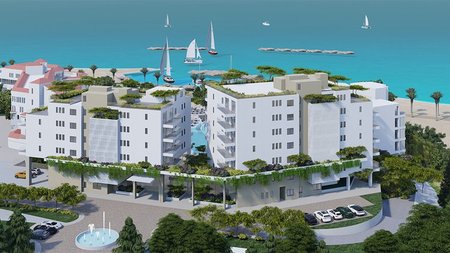 coralbayepektasi10004.width-750