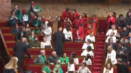 palaistiniaki_simaia_gallia