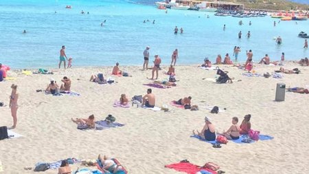 60162098_10156395242522634_5439805676450742272_n