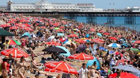 cache_980x637_Crop_medium_803954_1083325_24_06_24_122340