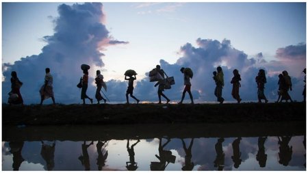 Collage Maker-26-May-2023-08-17-AM-8605