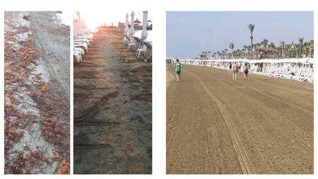 Press Release Beach Cleaning 2024