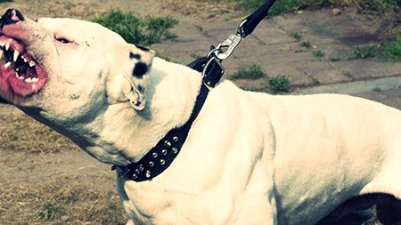 585406561dc524ce298b4735