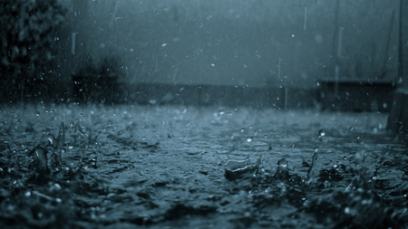 0c0a9a40-2a94-4595-ac2b-89c3692a6cd0.jpg