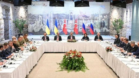 91fc56f6-turkeysynomilies (1)