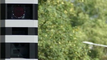 cats_TLOrTH3.width-750