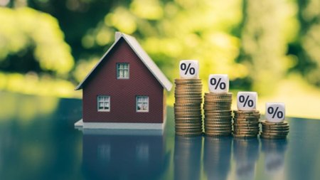 Collage Maker-09-Jun-2023-08-15-AM-1503