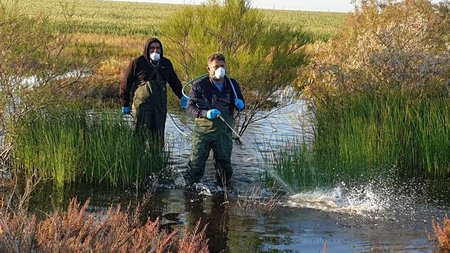 56681286_2230939300569582_2256037103865430016_o