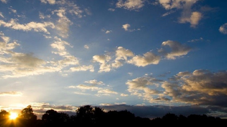 13a00c70-04d9-4efe-a1cc-3e7d106b5623.jpg