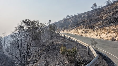 DOC.20250724.8797064.kamenigilemesos1