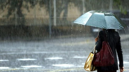 6b7601f5-d843-476e-832b-e56c7a786a8c.jpg