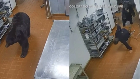 1_-_2023-10-27t155023.631