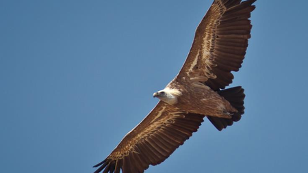 9208f8bc-97c8-4eb7-bba8-b52238daada4.jpg