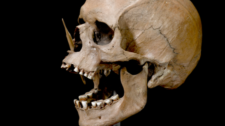 ThePorsmoseman-768x470