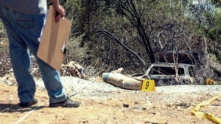 cats_xGQH1fj.width-750