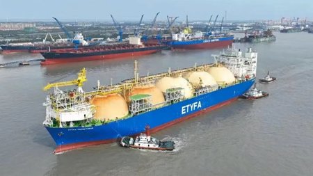 MixCollage-17-Jan-2024-10-04-AM-5504