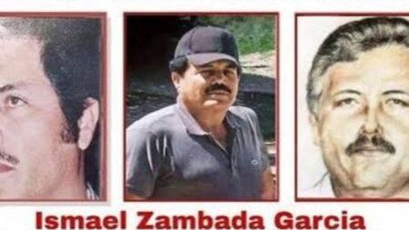 MixCollage-16-Feb-2024-03-32-AM-6963