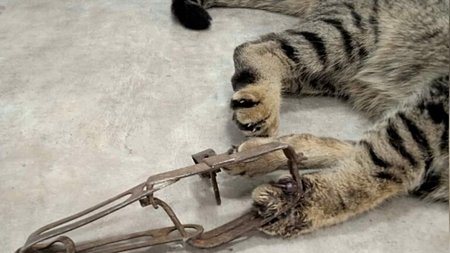 20240111-newsroom-LAMIA-ANASOGLOU4-768x506