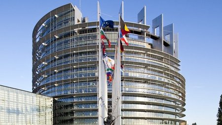 cats_evIOeu2.width-750