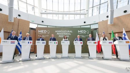 MixCollage-04-Sep-2024-08-24-AM-5472