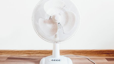 fan